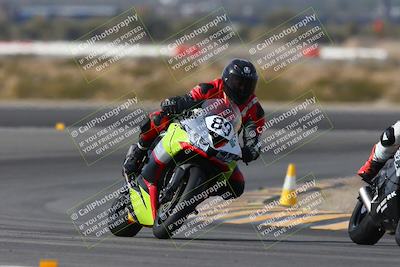 media/Jan-19-2024-Apex Assassins-CVMA Friday (Fri) [[74e94f2102]]/Trackday 1/Session 2 (Turn 11)/